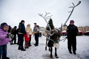 новогодняя кутерьма, Гатчина, дворец